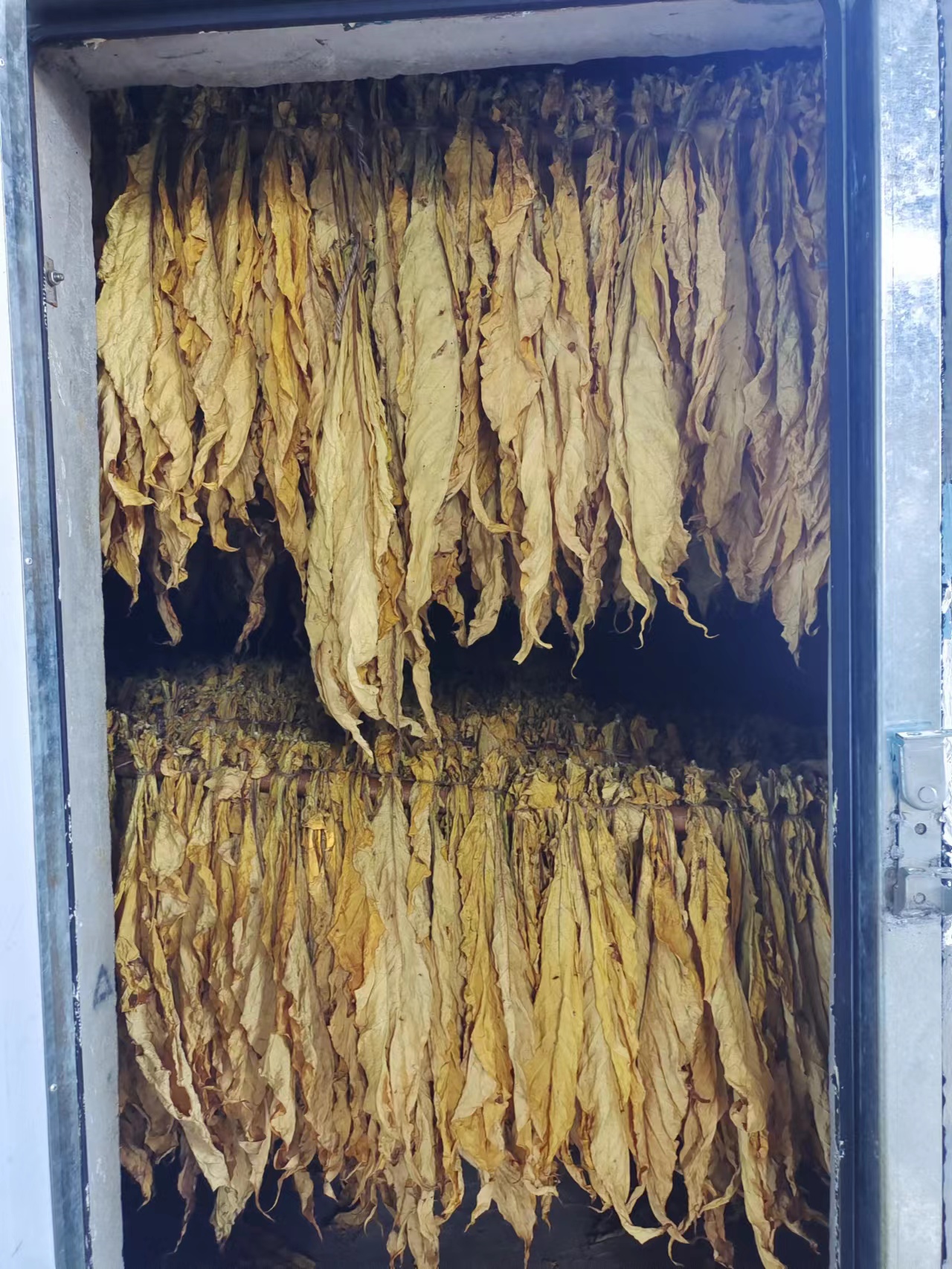 烟草烘干案例 (4)